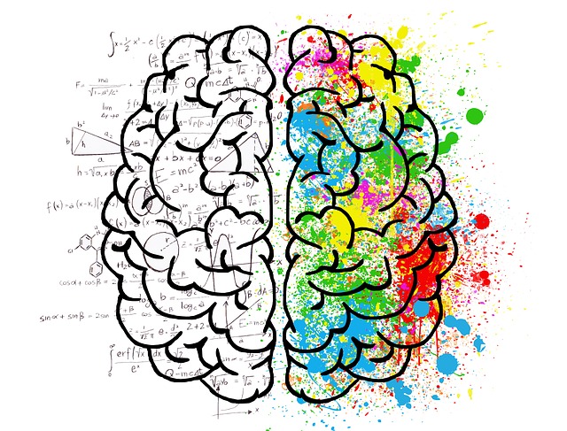 Illustration left brain and right brain